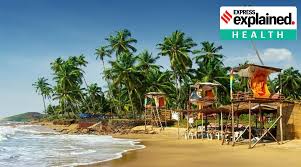 How long would she have to hold a note for to break. Explained Goa Announces Night Curfew Here Is What Is Allowed And What Isn T Explained News The Indian Express