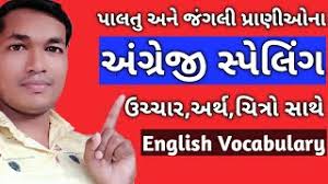 Animals Name In Gujarati And English Animals Name In English Girish Education Youtube