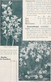 Our growing guides for flowers cover popular annuals, perennials, bulbs, roses, and shrubs—as well as some houseplants. File Dreer S Advance List Of Spring Flowering Bulbs 1932 1932 21001898075 Jpg Wikimedia Commons