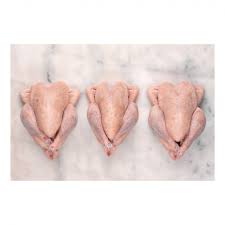 bio box 3 ganze poulets kagfreiland fr 28 kg mahler co feine biowaren
