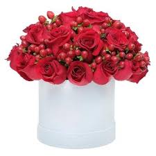 Make someone smile by sending them a blue mountain® anniversary card! Buy Anniversary Flowers Singapore Get Free Same Day Delivery Outerbloom Florist Singapore