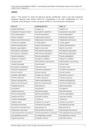 Image result for Rhaphiostylis beninensis