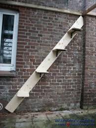 Kattentrap Katzen Treppe Katzentreppe Katzen Draussen