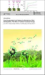 Phu binh hotel ⭐ , vietnam, lao cai, 114 le lai kim tan lao cai: Drug Encapsulation And Release By Mesoporous Silica Nanoparticles The Effect Of Surface Functional Groups Tan 2014 Chemistry A European Journal Wiley Online Library