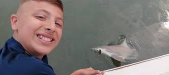 Shark Catching at South Padre Island Beach