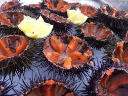 Livraison D Oursins De Galice A Marseille Midi Et Soir Dans Tous Les Arrondissements De Marseille 13001 13002 13003 13004 130 Oursin Fruits Fruits De Mer