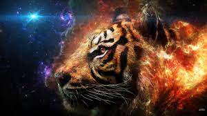 1417577 High Resolution Wallpapers Widescreen Tiger Tiger Wallpaper Pet Tiger Tiger Artwork