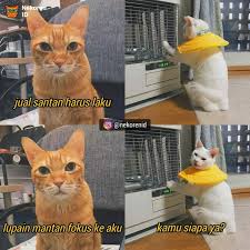 Pp kapel anak kecil terpisah. 7 Meme Kucing Saat Pdkt Ini Kocak Bikin Ngakak Hot Liputan6 Com