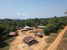 Elephant Research and Conservation