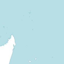 Image result for Mimulopsis arborescens