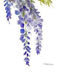 Wisteria 3 Fine Art Print Of Original Watercolor Etsy Contemporary Botanical Art Fine Art Giclee Prints Fine Art Prints