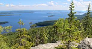 Hiking in North Karelia and Kainuu | The Natural Adventure