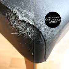 How To Repair Cat Scratched Leather Diy Leather Repair Leather Couch Repair Leather Furniture Repair