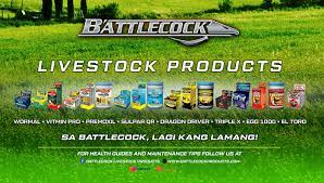 Battlecock Products - Makers of El Toro, Wormal Tablet, Wormal Lite,  Premoxil 550, Premoxil Powder, Sulpar QR, VitMinPRO Tablet, VitMinPRO  Powder, and Dragon Driver