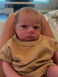 one month of cohen taylor 🤎