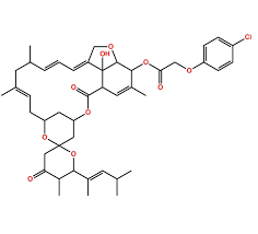 Image result for Moxidectin