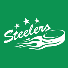 With fighting and team spirit, this great team, . Bietigheim Steelers Youtube