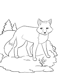 Drucken sie kostenlos auf unserer website. Ausmalbilder Fuchs Kostenlos Drucken Fur Madchen Und Jungen