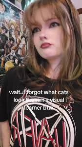 What Does A Cat Look Like Im Visual