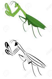 However, it would fit better somewhere else, we think, not on the stomach. Pin On Tattoo Designs