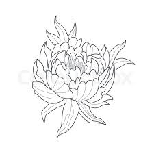 Maybe you would like to learn more about one of these? Peony Flower Monochrome Drawing For Stock Vector Colourbox