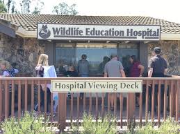 Sonoma County Wildlife Rescue Petaluma 2021 All You Need To Know Before You Go With Photos Tripadvisor