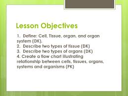 From Cells To Organisms Ppt Download