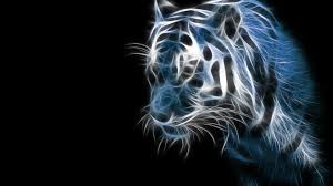 43 1920x1080 Tiger Wallpaper Full Hd On Wallpapersafari You can also upload and. 43 1920x1080 tiger wallpaper full hd