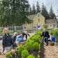 SBGS Weekly Garden Volunteering October — SBGS event image
