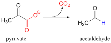 Biomolecules | Free Full-Text | Decarboxylation Of Pyruvate To Acetaldehyde  For Ethanol Production By Hyperthermophiles