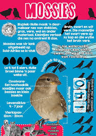 Pin By Janett Venter On Diere Animals Afrikaans Kids Learning Home Schooling