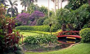 Sunken Gardens Is A World Class Botanical Garden Near Downtown St Petersburg Fl Perfect For An Outdoor St Sunken Garden Garden Visits Downtown St Petersburg