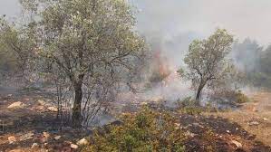 Στο σημείο επιχειρούν 33 πυροσβέστες, 15 οχήματα και ένα ελικόπτερο. Ypo Elegxo H Fwtia Sto Porto Germeno Cnn Gr
