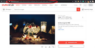 How to download shutterstock images for free? Download Shutterstock Images Without Watermark