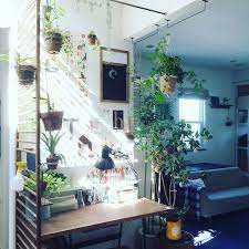 部屋全体 陽射し グリーン diy 古道具 などのインテリア実例 2016 10 21 08 13 23 roomclip ルームクリップ グリーン インテリア 家のインテリア インテリア