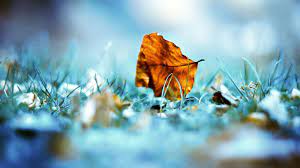 Unique Wallpapers Hd For Pc Piixat Com Fotografii Prirody Oboi