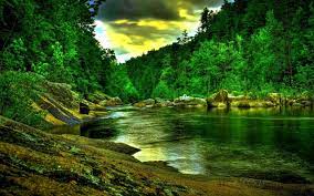 Check spelling or type a new query. Beautiful Forest Desktop Wallpapers Top Free Beautiful Forest Desktop Backgrounds Wallpaperaccess