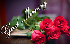 Gd mrng pictures , hd free gud morning wallpaper , best gd mrng wishes photo download , new gud morning photo pics download. Red Rose Good Morning Images Pictures Pics Free Download Good Morning Wallpaper Happy Good Morning Images Morning Images