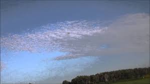 Miss Gemini From December 1983 Model Airplane News Built by Lavern Watson