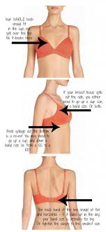 Talk with us now to ensure you get exactly what you need from pudding's bra fitting courses. Underwear Week Let S Talk About Boobs Or Bras Really Chasingcait Com