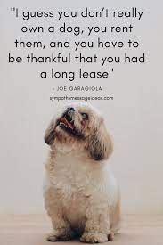 See more ideas about pet grief, animal quotes, losing a pet. 57 Heartbreaking Loss Of Dog Quotes Images Comforting Ways To Remember Your Pal Sympathy Card Messages