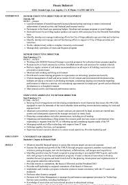 Pick one of our free resume templates, fill it out, and land that dream job! Senior Executive Director Resume Samples Velvet Jobs