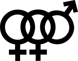 Polyamory Bi Female Female Male Symbol Vinyl Decal Etsy In 2020 Polyamory Vinyl Decals This Or That Questions