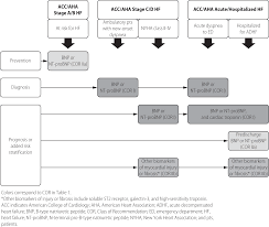 Disease Management Current Practice Guidelines In Primary