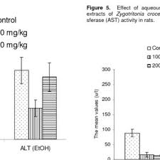 Image result for Zygotritonia nyassana
