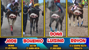 Psychedelic Jungle Mayalu - R34 Shemale Porn Explicit