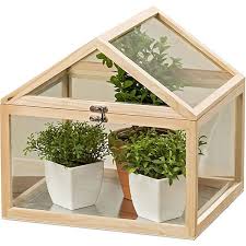 In Kleinen Gewachshausern Lassen Sich Empfindliche Pflanzen Geschutzt Heranziehen Gewachshaus Gewachs Zimmerpflanzen