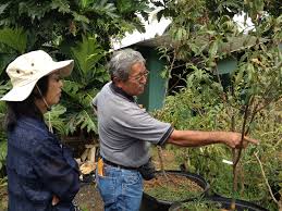 Pin By Jari S K Sugano On Oahu Farmers Cowboy Hats Peach Alton