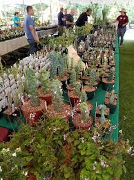 Huntington botanical gardens, san marino, ca. San Gabriel Valley Cactus And Succulent Society S Yearly Tricity Show And Sale Possibly The Largest Succulent Show In The World Succulents