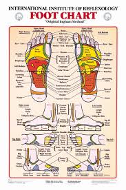 71 Organized Ear Reflexology Chart Download